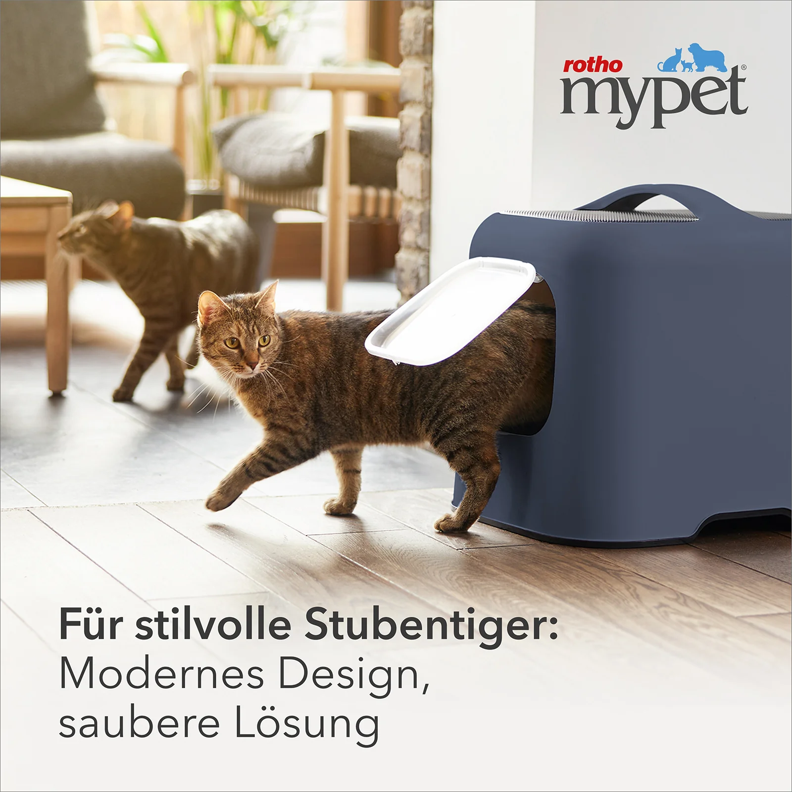 Vorschaubild 11