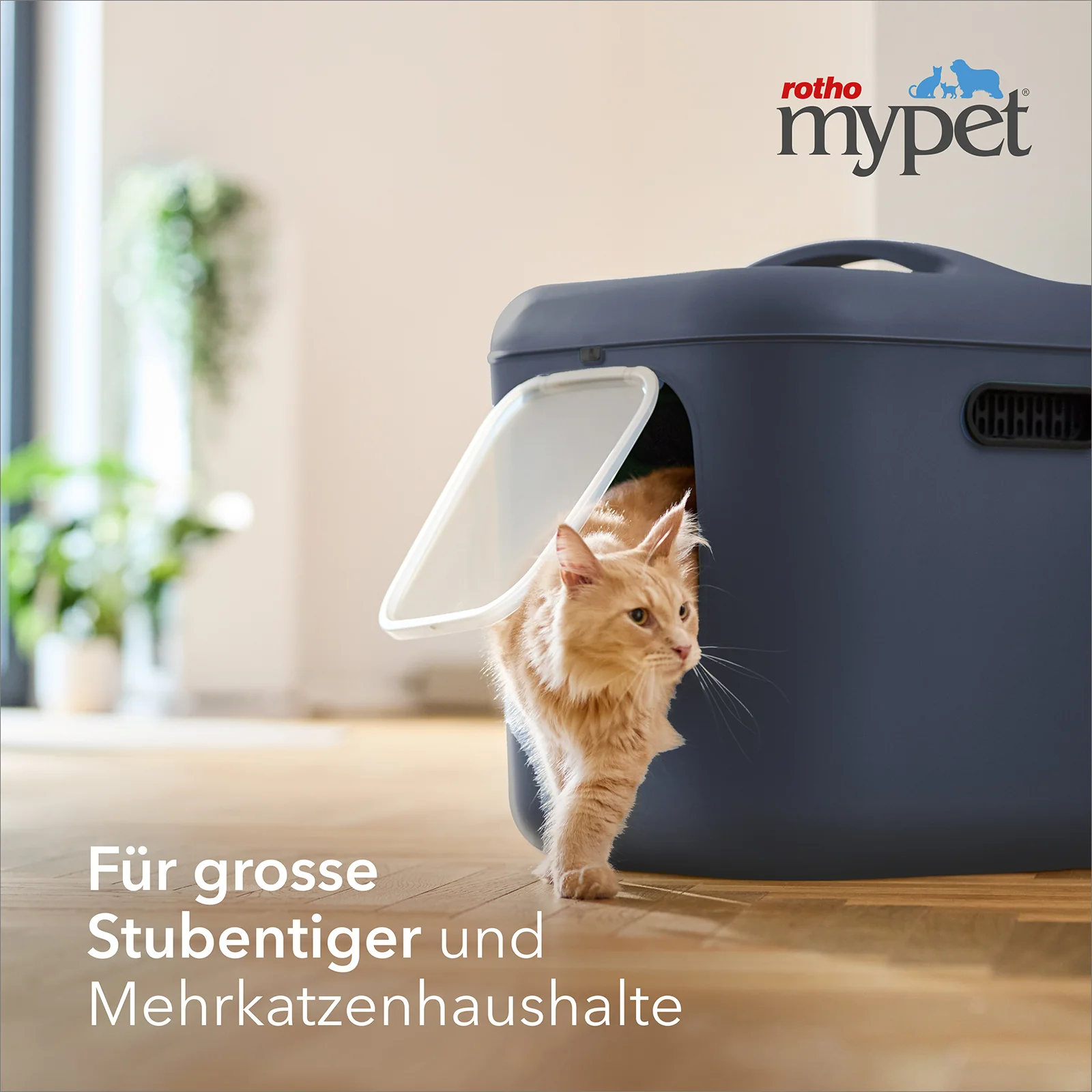 Vorschaubild 11