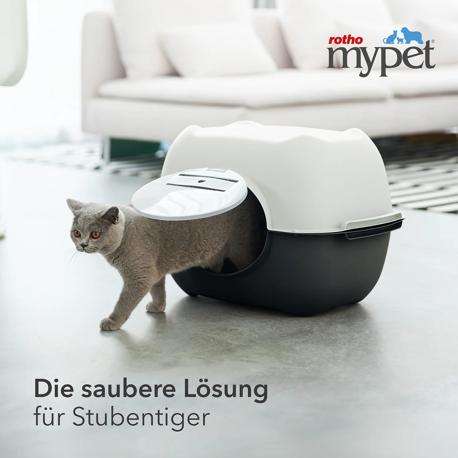 Vorschaubild 10